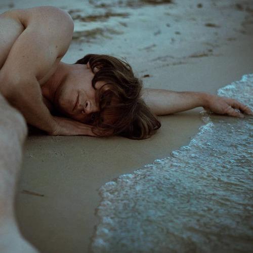 Photo #4295130