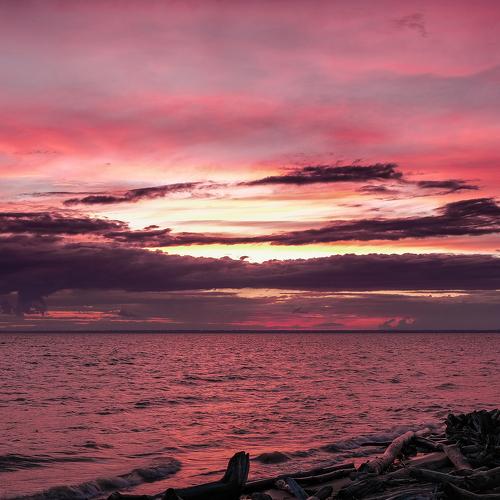 Photo #4295559