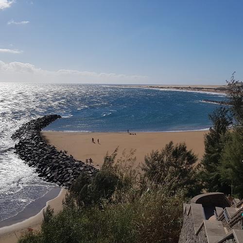 Photo #4296524
