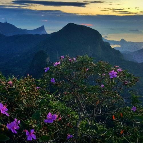 Photo #4296694