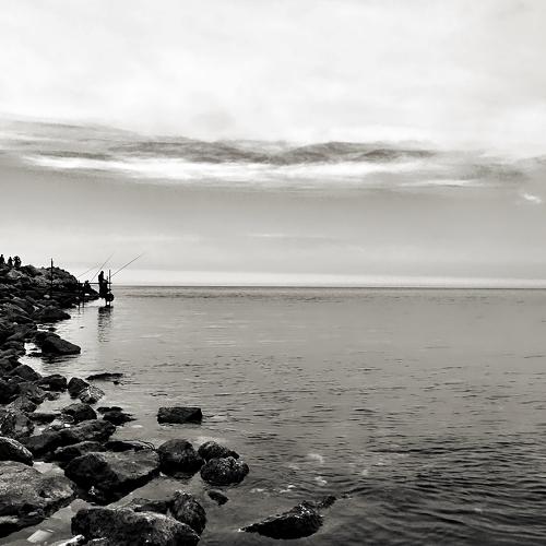Photo #4296987