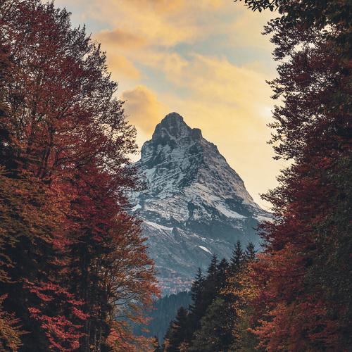 Photo #4297065