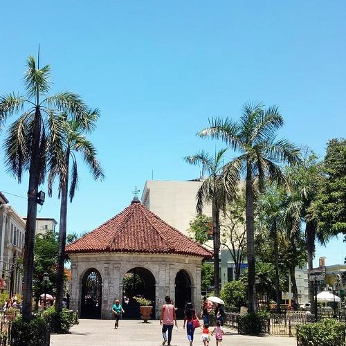 Photo #4297213