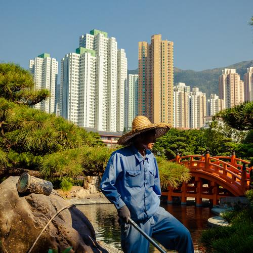 Photo #4297265