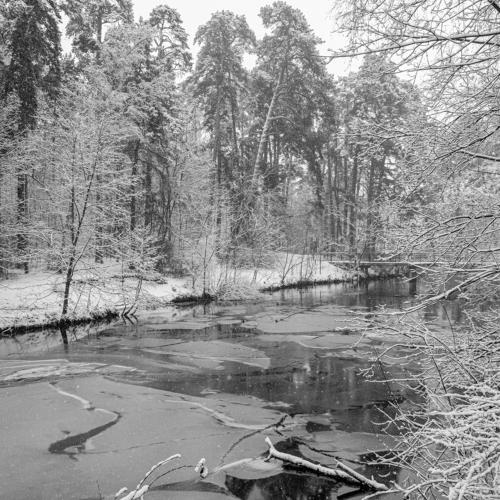 Photo #4297467