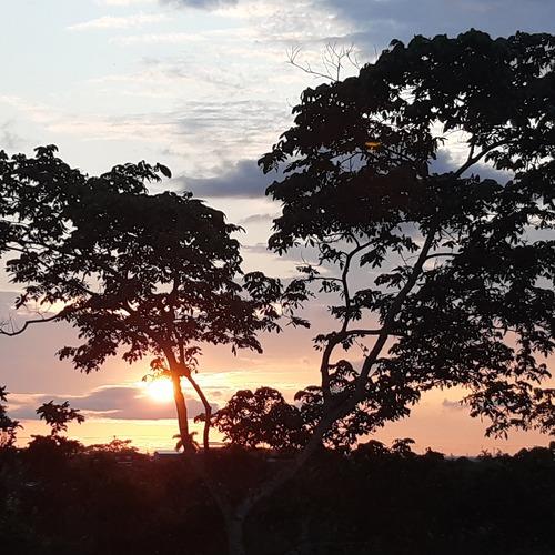 Photo #4297778