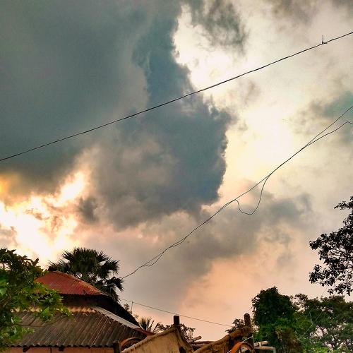 Photo #4297883