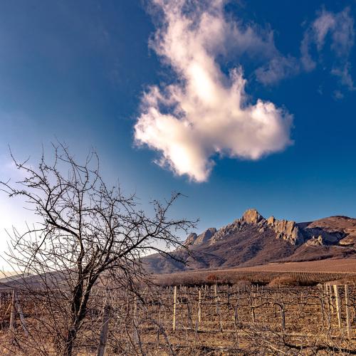 Photo #4298466
