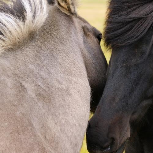 Photo #4298616