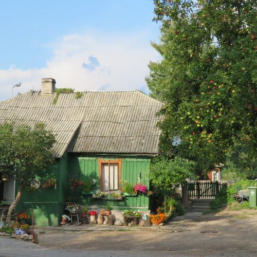 Photo #4298772