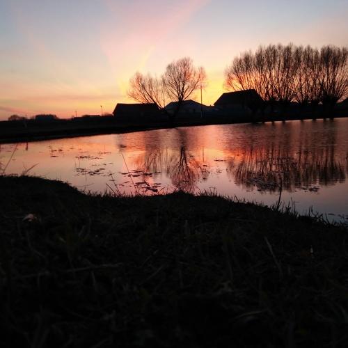 Photo #4299261