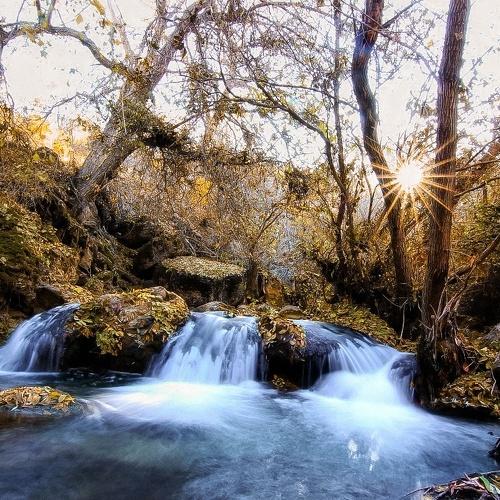 Photo #4299449