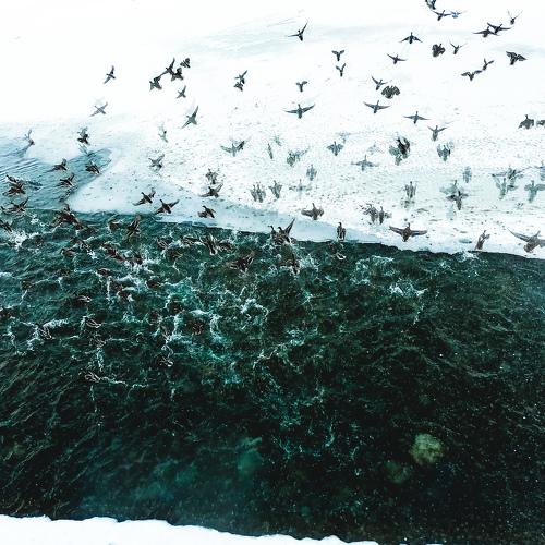Photo #4300004