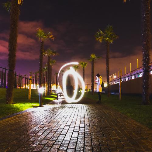Photo #4300017