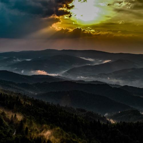 Photo #4300244
