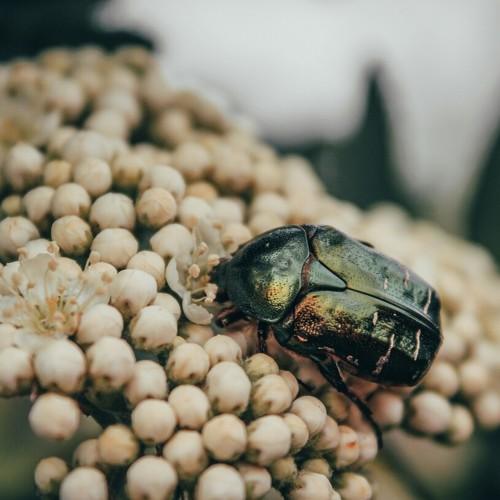 Photo #4300540