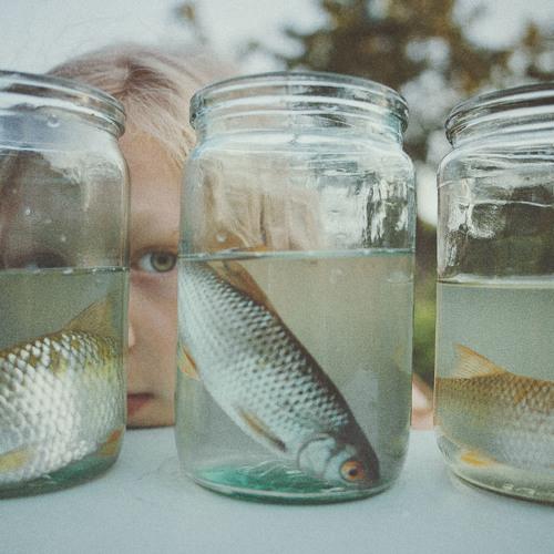 Photo #4301070