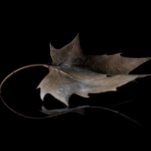 Otoño
