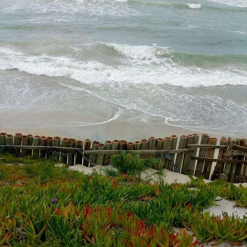 Photo #4301707