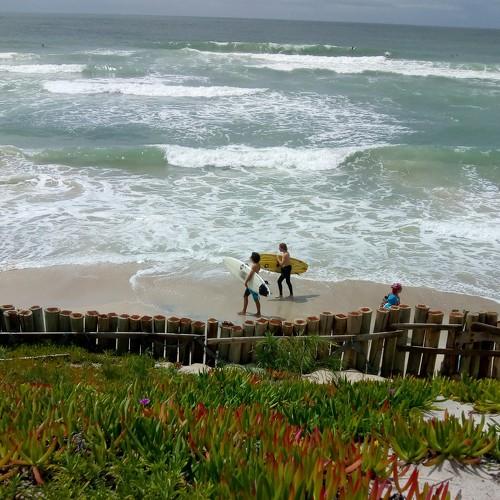 Photo #4301708