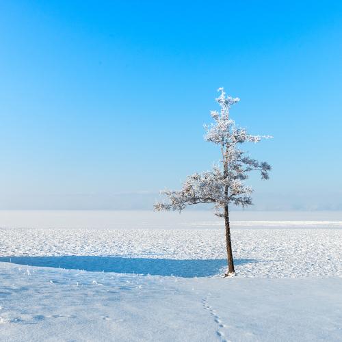 Photo #4302030