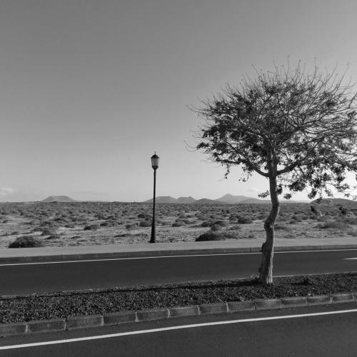Photo #4302242