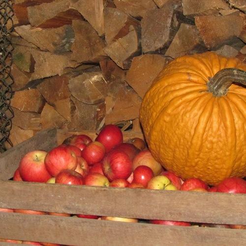 Photo #4302579