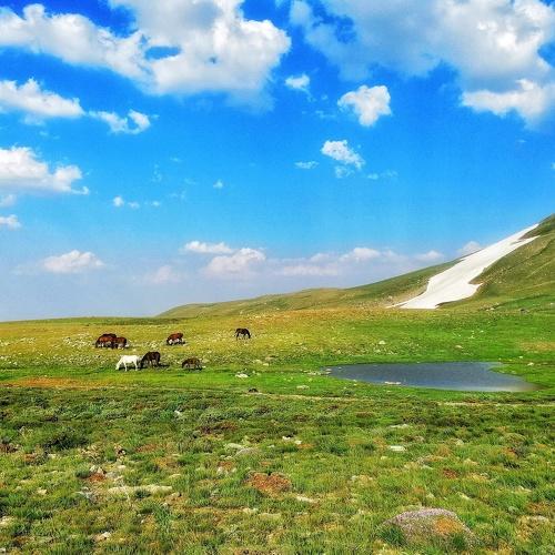 Photo #4302631