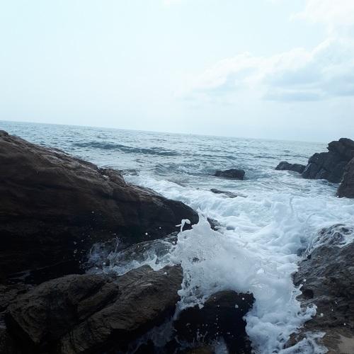 Photo #4302874