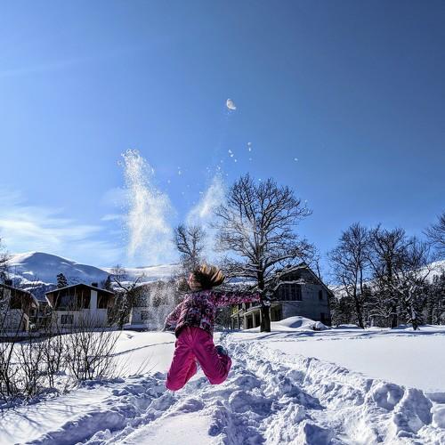 Photo #4302918
