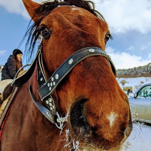 Photo #4302928