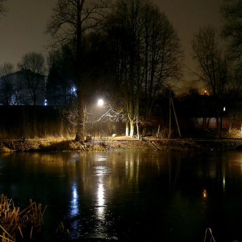 Photo #4303241