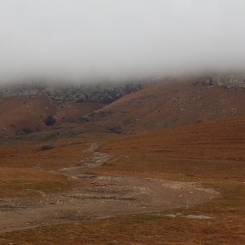 Photo #4303267