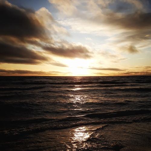 Photo #4303348