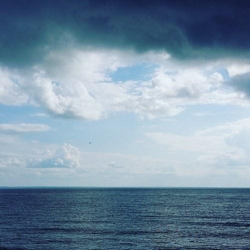 Photo #4303537