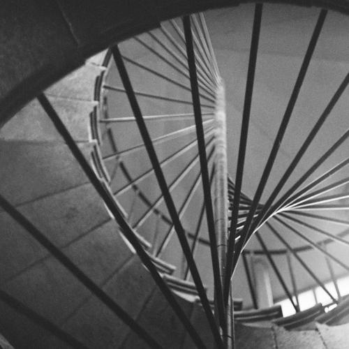 Фотография #4303885