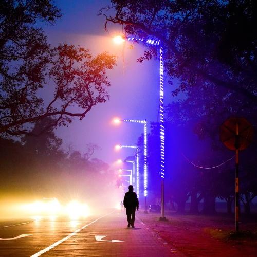 Photo #4304082
