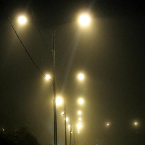 Photo #4304184