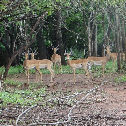 Photo #4304223
