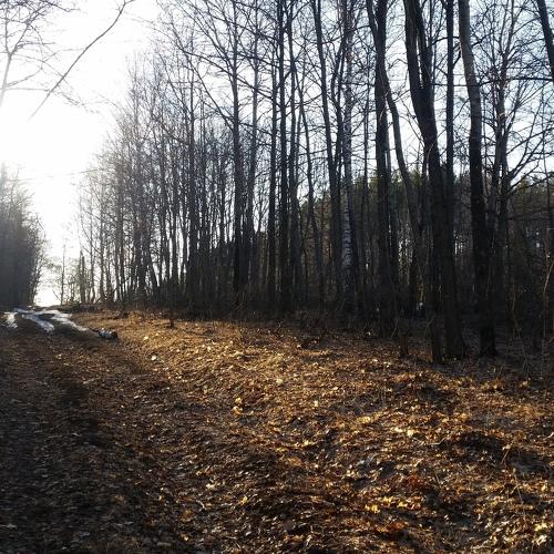 Photo #4304355