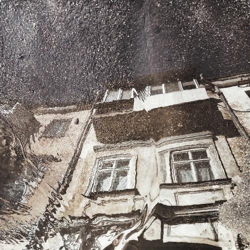 Photo #4304464
