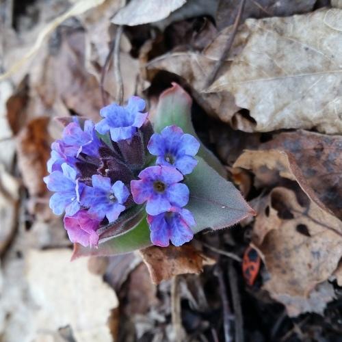 Photo #4304543