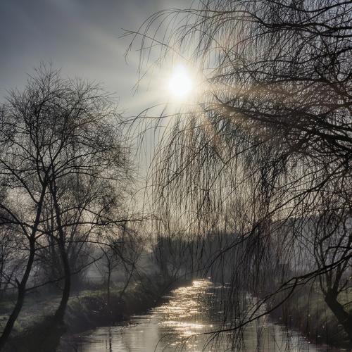 Фотография #4304721