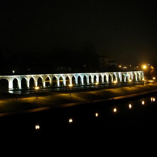 Photo #4305135