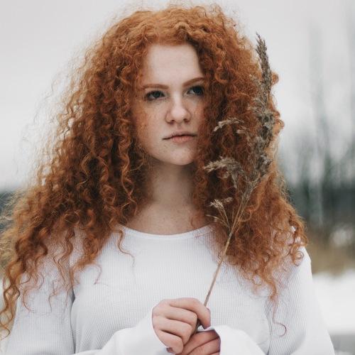 Photo #4305326