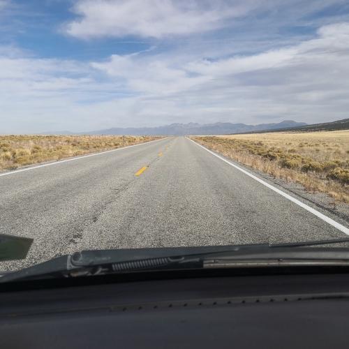 Photo #4305367