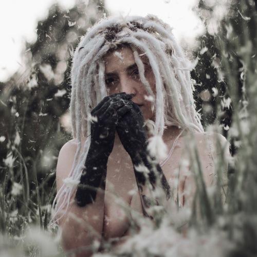 Photo #4305390
