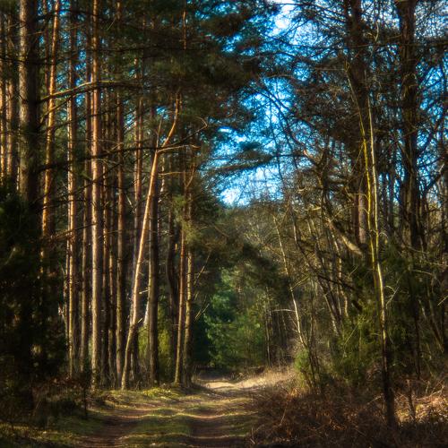 Photo #4305430