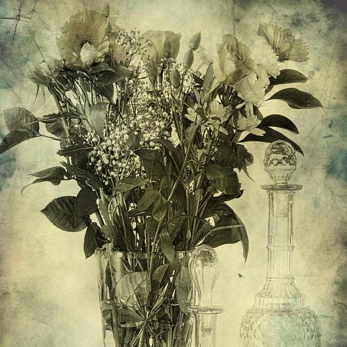 Photo #4305625