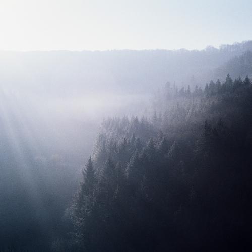 Photo #4305702